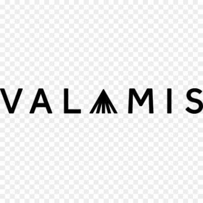 Valamis-Group-Logo-Pngsource-O6010V2F.png