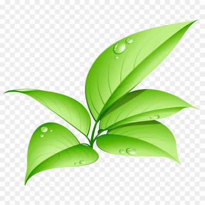 Vector-Green-Leafs-PNG-Pic-Pngsource-0ZKLH05I.png