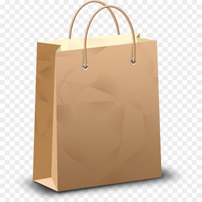 Vector-Shopping-Bag-Transparent-PNG-Pngsource-S0BNBGUQ.png