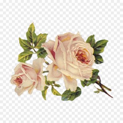 Victorian-Vintage-Flowers-Transparent-Background-Pngsource-GW8FBUIF.png