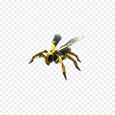 Wasp-Insect-PNG-Background-3D8PAVNS.png PNG Images Icons and Vector Files - pngsource
