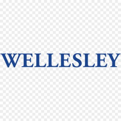 Wellesley-logo-wordmark-blue-Pngsource-WH8V7UY4.png