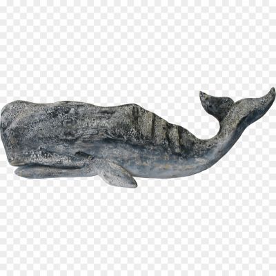 Whale-PNG-Background-Clip-Art-PIP8SZVL.png