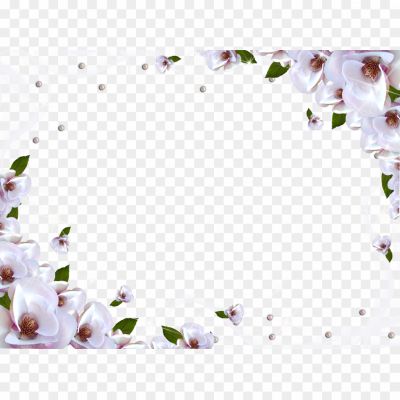 White-Flower-Frame-PNG-Image-Pngsource-AOCLWVR7.png
