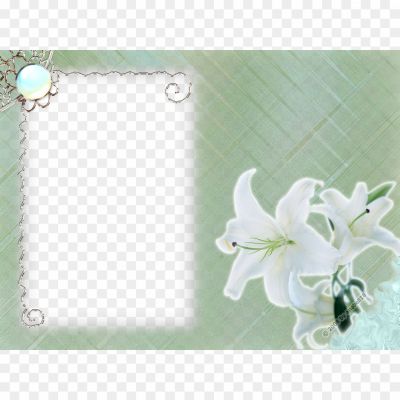 White-Flower-Frame-PNG-Transparent-Pngsource-INM7LAB9.png