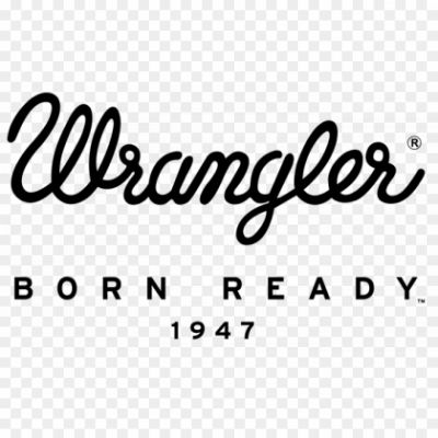 Wrangler Men'S Logo Tee T-Shirt, White (White 989), Large: Buy Online at  Best Price in UAE - Amazon.ae