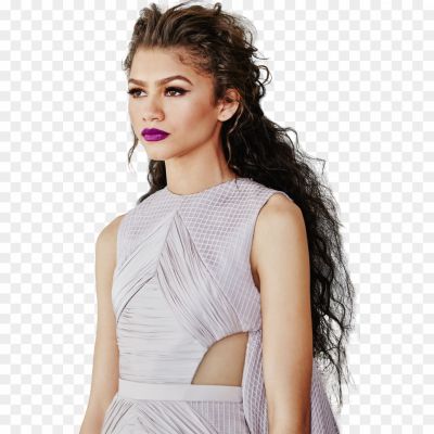 Zendaya-Coleman-PNG-Picture-WFZHSF1F.png