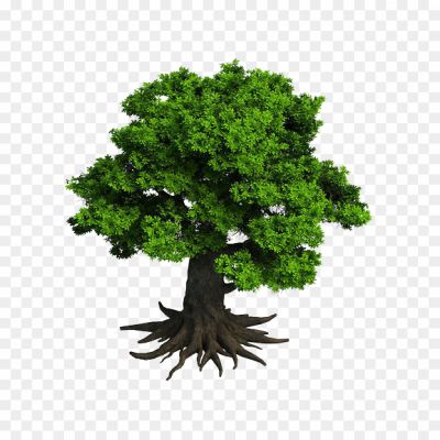 Tree, Plant, Woody, Perennial, Trunk, Branches, Leaves, Roots, Bark, Photosynthesis, Oxygen, Shade, Habitat, Ecosystem, Nature, Green, Growth, Wood, Timber, Canopy, Wildlife, Carbon Dioxide, Shade, Oxygen, Environment, Foliage, Fruits, Flowers, Shade, Biodiversity, Ecosystem, Natural Resources.