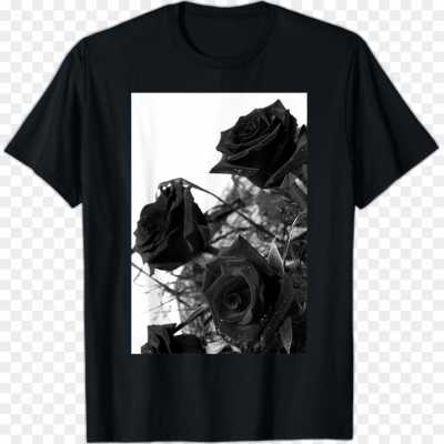 black-rose-gulab-flower-High-Quality-PNG-G1PJ978B.png