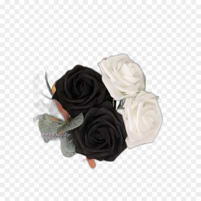 black-rose-gulab-flower-Isolated-Transparent-HD-PNG-Y0CPKWN5.png