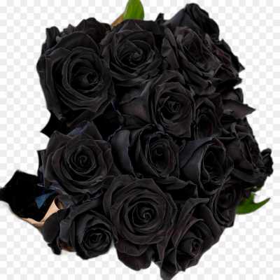 black-rose-gulab-flower-PNG-Clip-Art-WO42OKAT.png