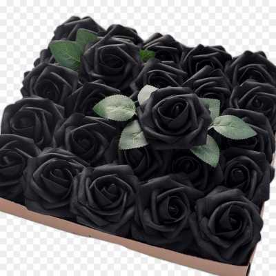 black-rose-gulab-flower-PNG-Image-Clip-Art-VRSPWSYE.png
