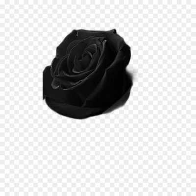 black-rose-gulab-flower-Transparent-HD-Image-1KDX74NB.png