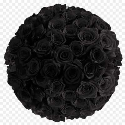 black-rose-gulab-flower-Transparent-HD-Isolated-PNG-WDLQ8O80.png