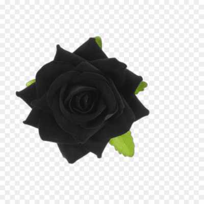 black-rose-gulab-flower-Transparent-Image-HD-PNG-KGH9W11O.png