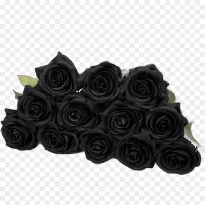 black-rose-gulab-flower-Transparent-Image-PNG-isolated-NQ2JEIT8.png