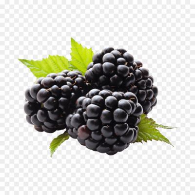 blackberry Fresh Trasnparent image PNG Downlaod 8022.png