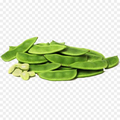 broad-bean-PNG-Clipart.png