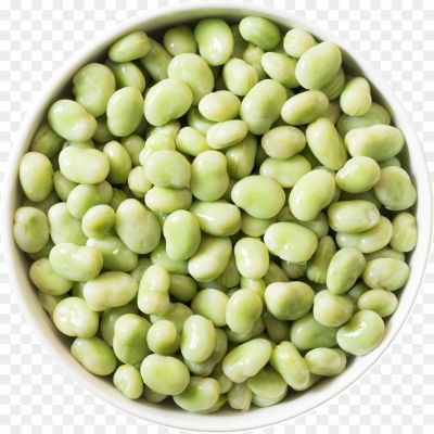 broad-bean-PNG-Free-Download-CPE0UTLY.png