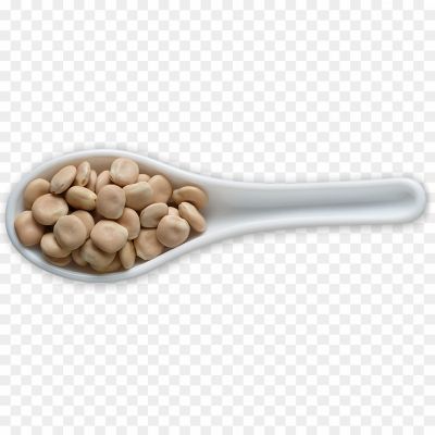 broad-bean-PNG-Isolated-HD-RKOTEN7W.png