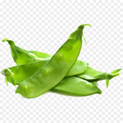 broad-bean-PNG-Isolated-Image.png