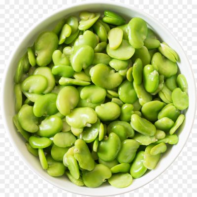 broad-bean-PNG-Transparent-SLLGUKJT.png