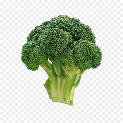 Broccoli, Vegetable, Green, Cruciferous, Healthy, Nutritious, Superfood, Fiber, Antioxidants, Vitamins, Minerals, Roasted, Steamed, Stir-Fry, Salad, Soup, Recipe, Side Dish, Farm Fresh, Green Vegetables