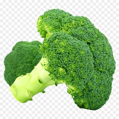 broccoli-isolated-no-background-png-Pngsource-G1V088I1.png