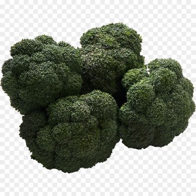 broccoli-isolated-no-background-png-Pngsource-VYZIUE4C.png