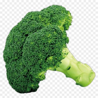 broccoli-isolated-transparent-png-hd-Pngsource-P2PAPZ8B.png