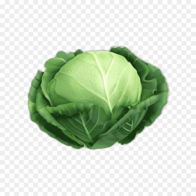 cabbage-isolated-png-without-background-Pngsource-DHBEMMQR.png