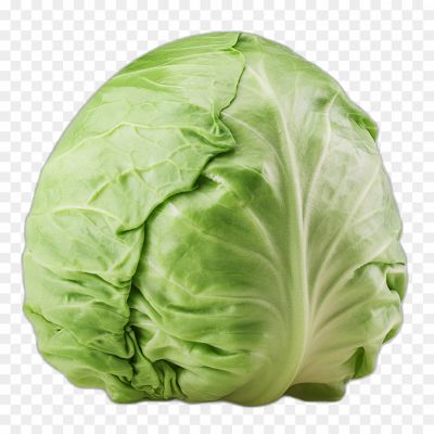 cabbage-isolated-transparent-image-png-Pngsource-07O0CNWK.png