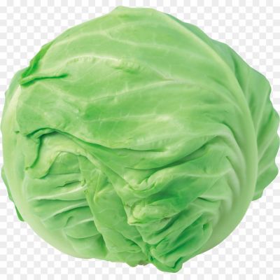 cabbage-transparent-isolated-png-Pngsource-C1RL7Y0X.png