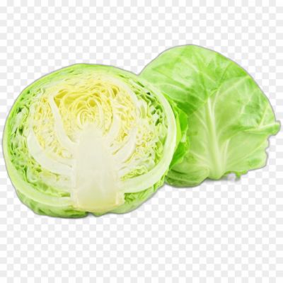 cabbage-transparent-isolated-png-Pngsource-NJOJB7B3.png
