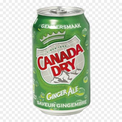 Canada Dry, Ginger Ale, Carbonated Beverage, Soft Drink, Ginger Flavor, Refreshing Drink, Soda, Mixer, Non-alcoholic Beverage, Beverage Brand, Canada Dry Logo, Beverage Industry, Ginger Ale Flavor, Caffeine-free, Crisp Taste, Bubbly Drink