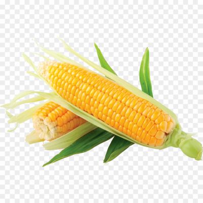 corn-isolated-transparent-png-Pngsource-E5TTDO8B.png