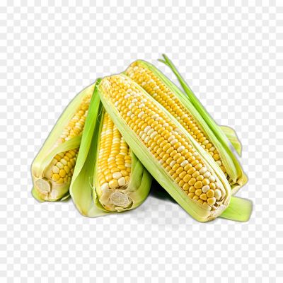 Corn, Roasted, Street Food, Summer, BBQ, Cob, Grilled, Butter, Seasonal, Snack, Sweet, Spicy, Chaat, Indian, Food Stall, Maize, Healthy, Nutritious, Popcorn, Outdoor, Enjoyment