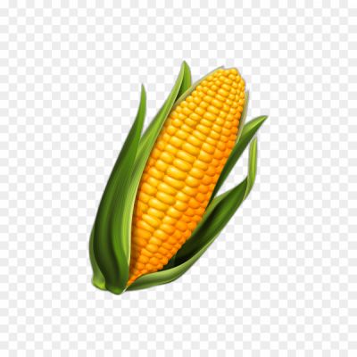 corn-transparent-no-background-png-Pngsource-GYPH7VUV.png