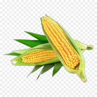 corn-transparent-png-Pngsource-P0M5RX2F.png