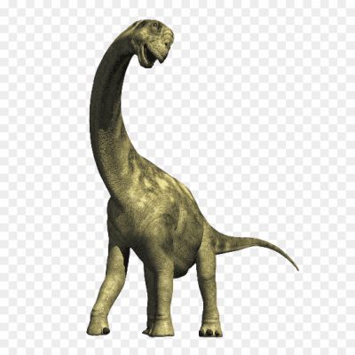 dinosaur-camarasaurus-apatosaurus-diplodocus-dinosaur-compsognathus-dinosaur-png-Pngsource-2Z37RZC8.png PNG Images Icons and Vector Files - pngsource