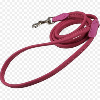 Collar, Training, Control, Walking, Running, Exercise, Retractable, Harness, Safety, Clip, Attachment, Handle, Tether, Adjustable, Chain, Nylon, Leather, Reflective