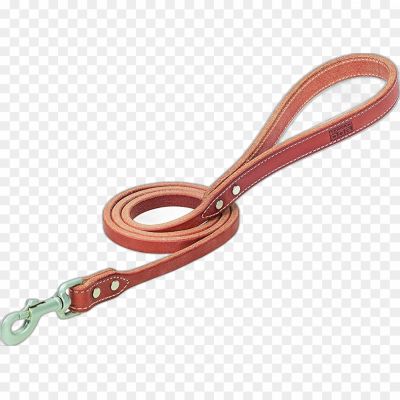 Dog Leash Transparent HD Image PNG Isolated - Pngsource