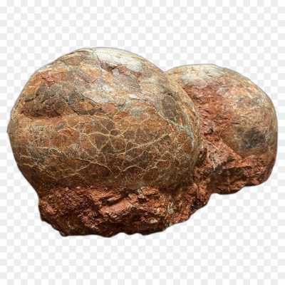 Egg Off Dinosaur High Resolution Isolated Image PNG EFL5KZJ2 - Pngsource
