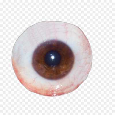 eyeeyelied-Isolated-Transparent-HD-PNG-LI7XLA2N.png