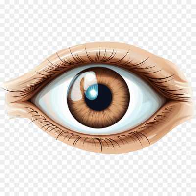 eyeeyelied-Transparent-Image-PNG-Download-3B3NCGU2.png PNG Images Icons and Vector Files - pngsource