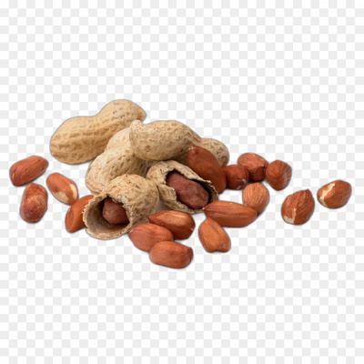 moongfali, groundnut, earthnut, goober