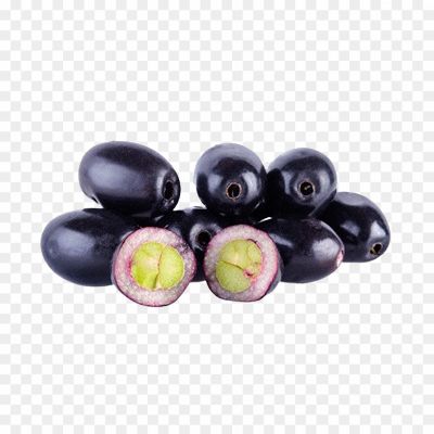 Jambolan, Indian blackberry, jamun, black plum, java plum, Malabar plum, Portuguese plum, purple plum, damson plum and Jamaica
