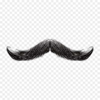 moustache-heard-much-High-Quality-Isolated-PNG-SBYFBYZU.png