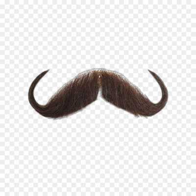 moustache-heard-much-Isolated-HD-Image-PNG-33E7NPR1.png