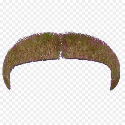 moustache-heard-much-No-Background-Isolated-PNG-8PUTV6ZZ.png